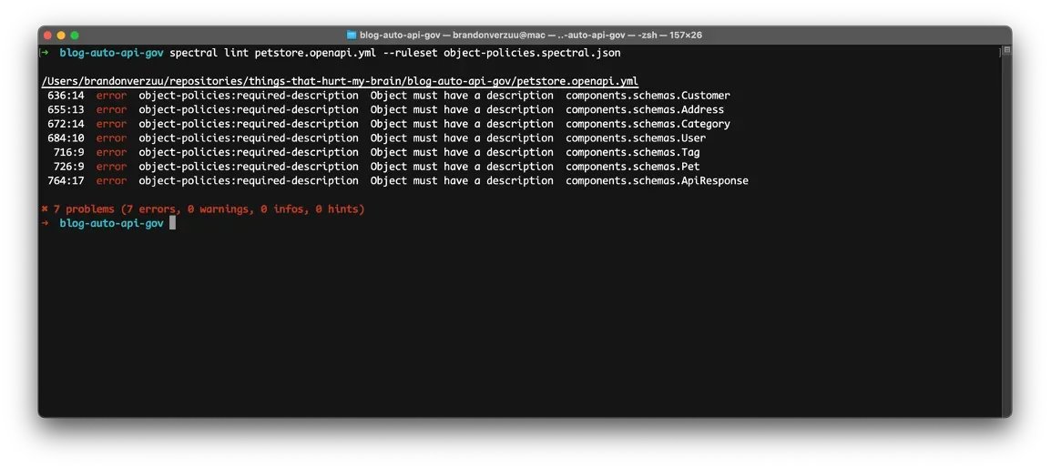 Running the lint command with ruleset