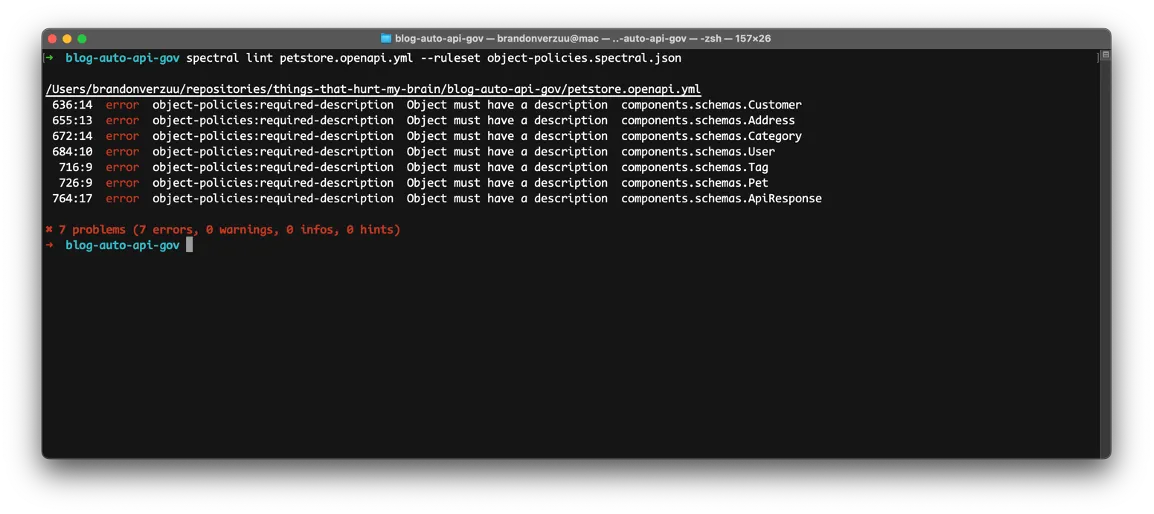 Running the lint command with ruleset